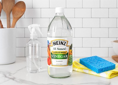 Vinegar Solution Vinegar Solution