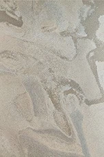 SM1019-1 SM1019-1